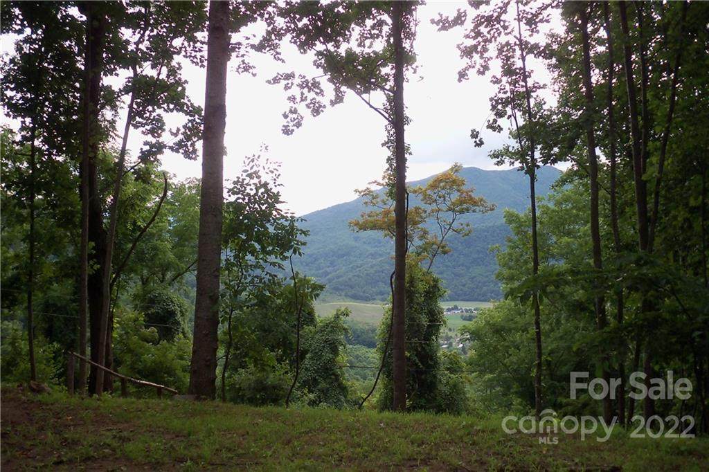 551 Tree Top Lane - Photo 1