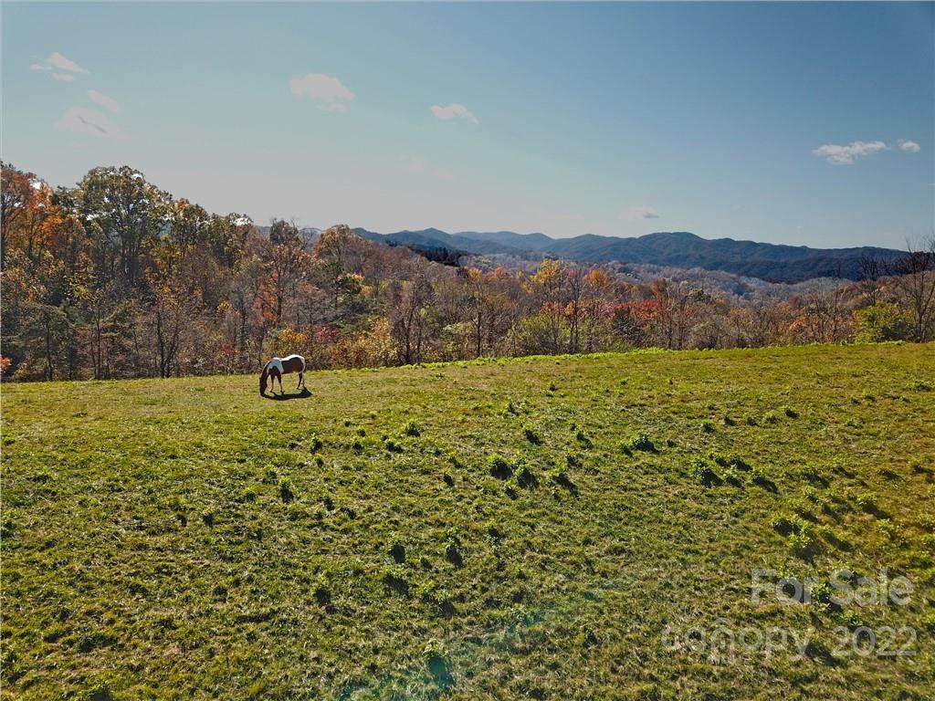 TBD Coates Road - Photo 1