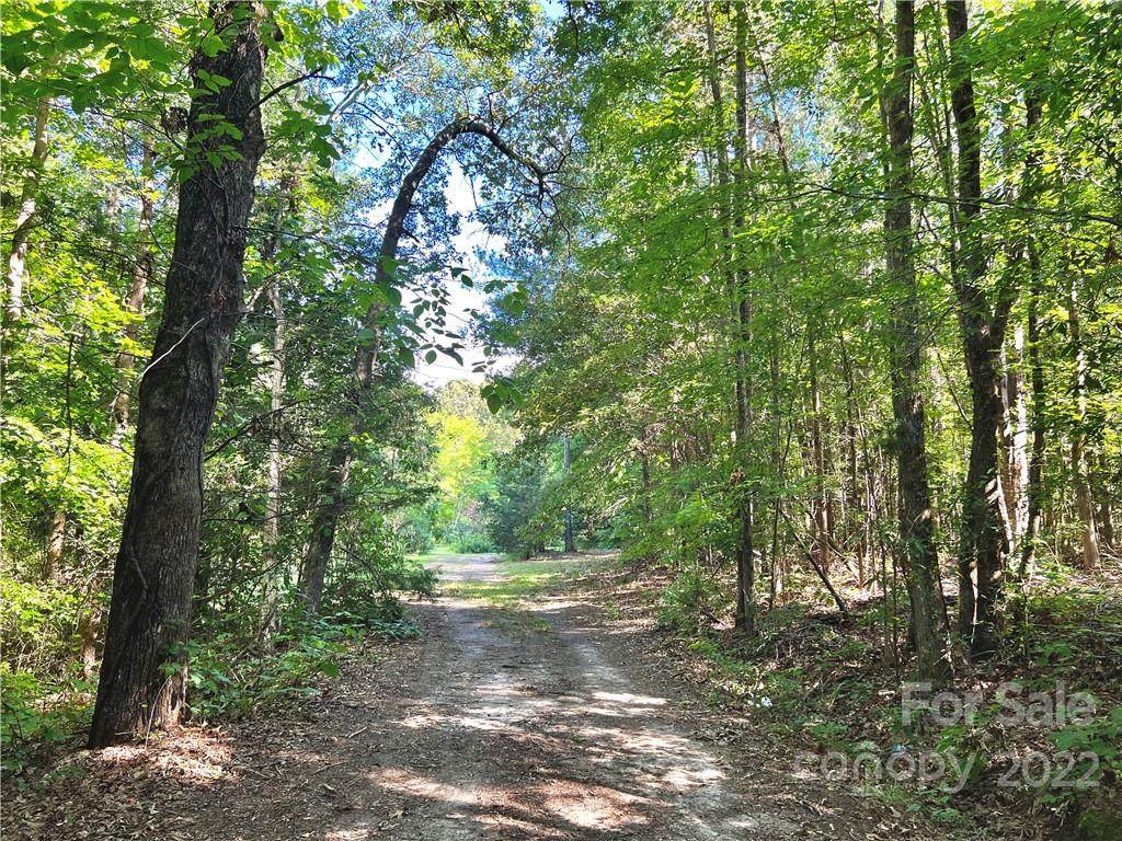 1955 Connor Road - Photo 1