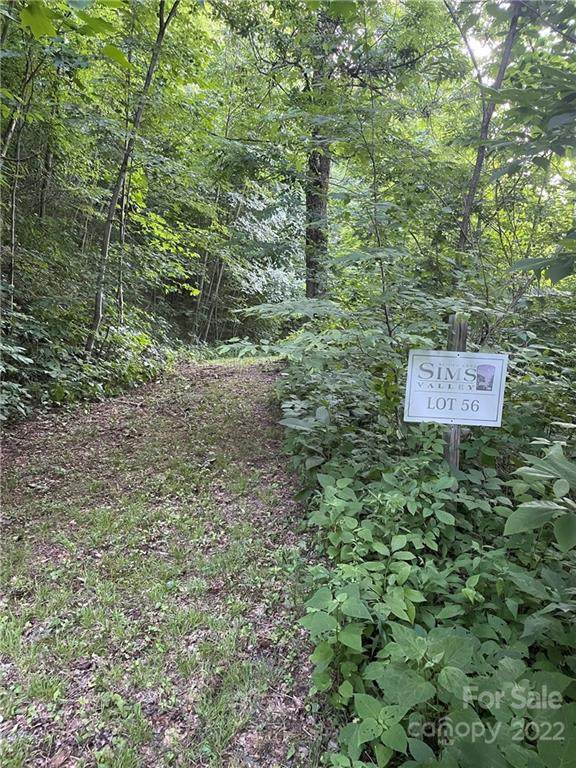 Lt 56 Pilot Knob Road - Photo 1