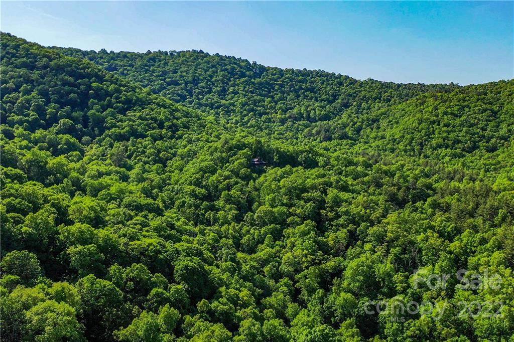 31 Red Maple Road - Photo 1