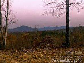 199 Grandview Peaks Drive - Photo 1