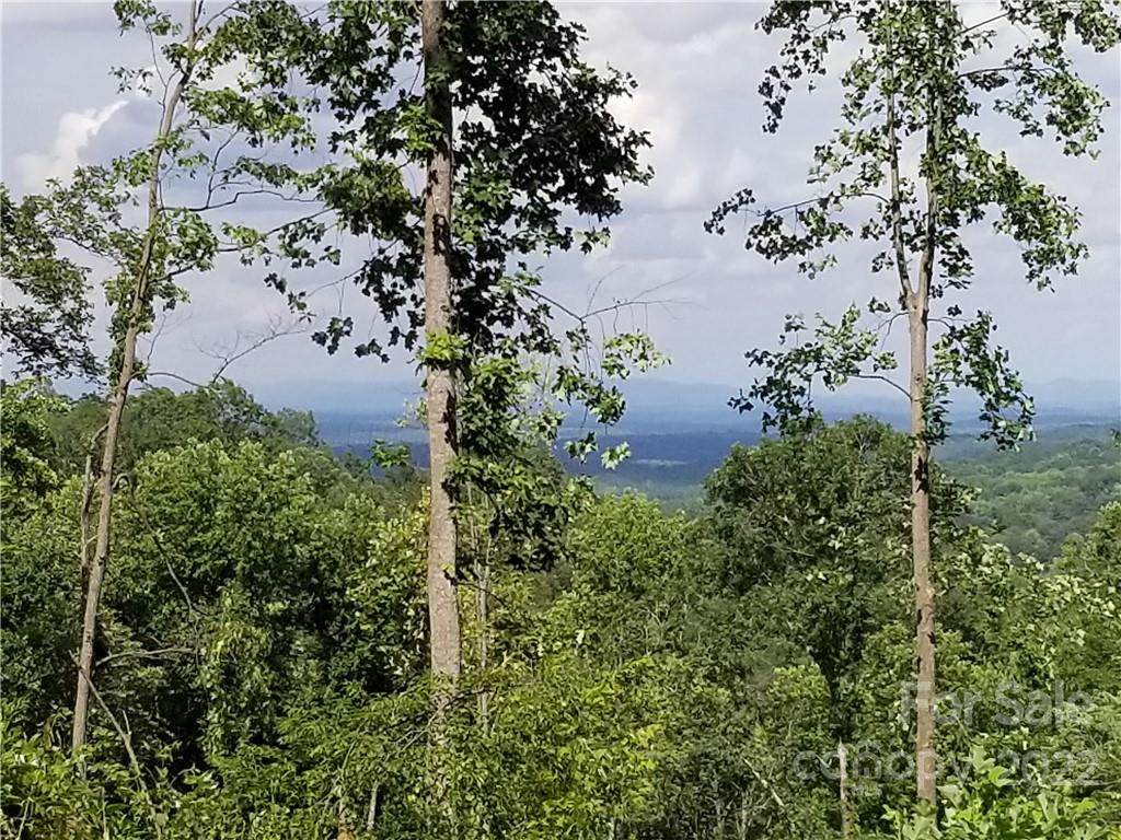 000 Holbert Cove Road - Photo 1
