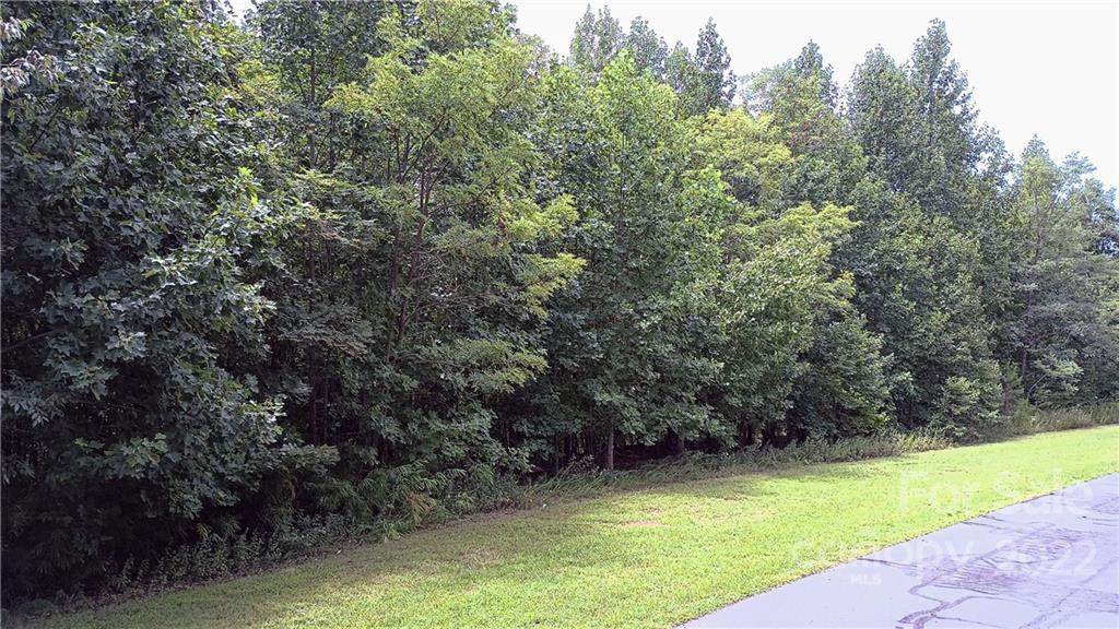 Lot 244 Scenic Vista Drive - Photo 1