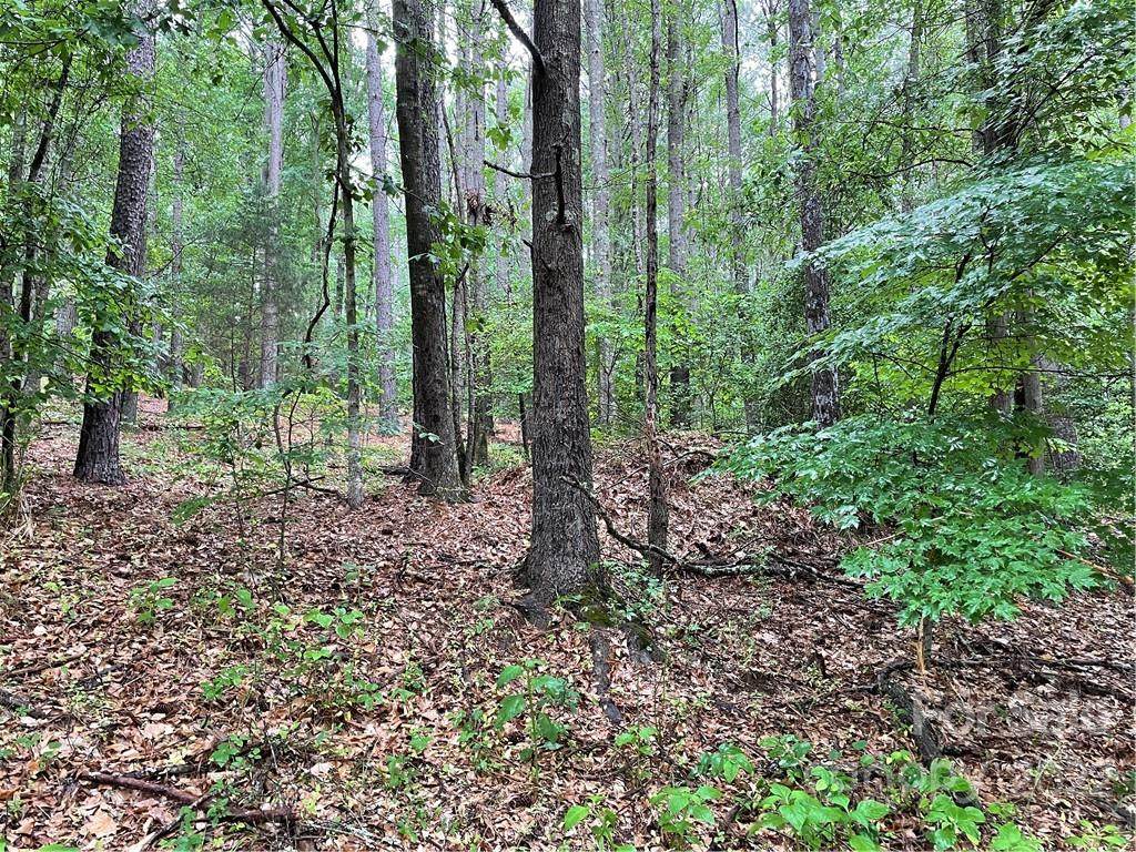 409 Hopewell Church Road - Photo 1