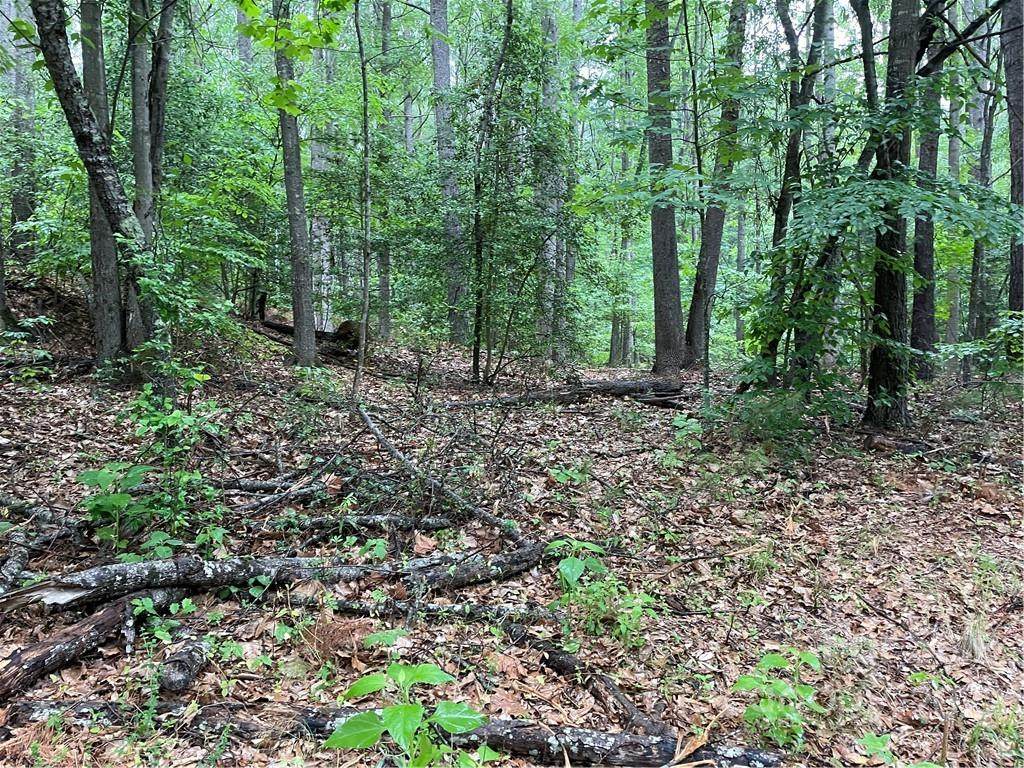 409 Hopewell Church Road - Photo 1