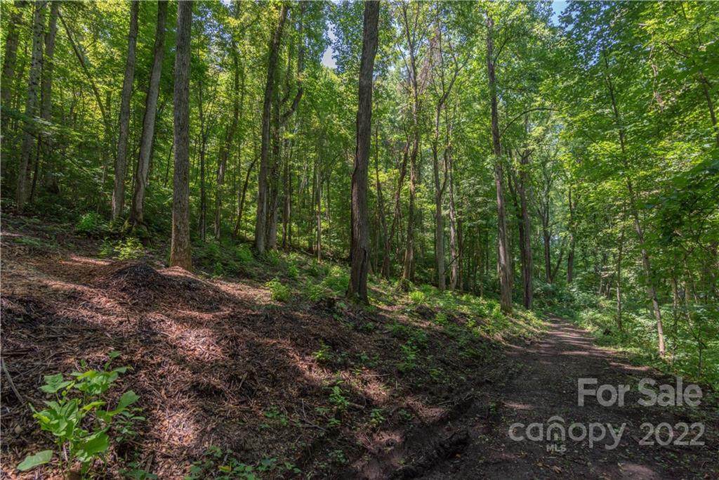 Land Off Renee Trace - Photo 1