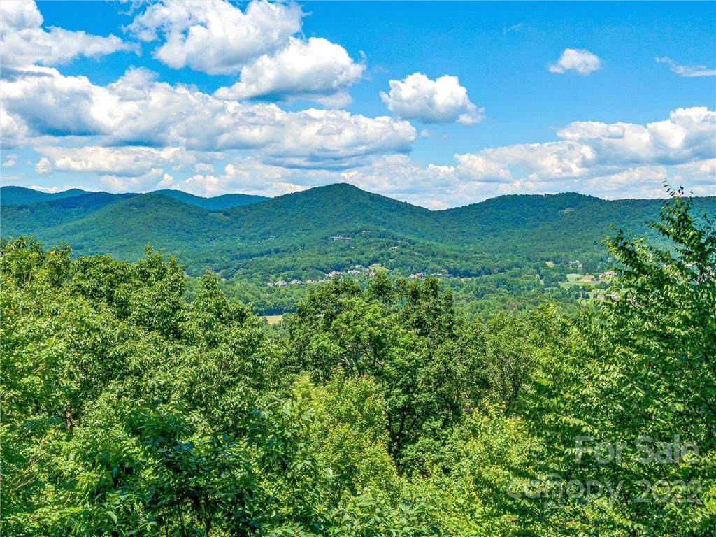299-64 Secluded Hills Lane - Photo 1