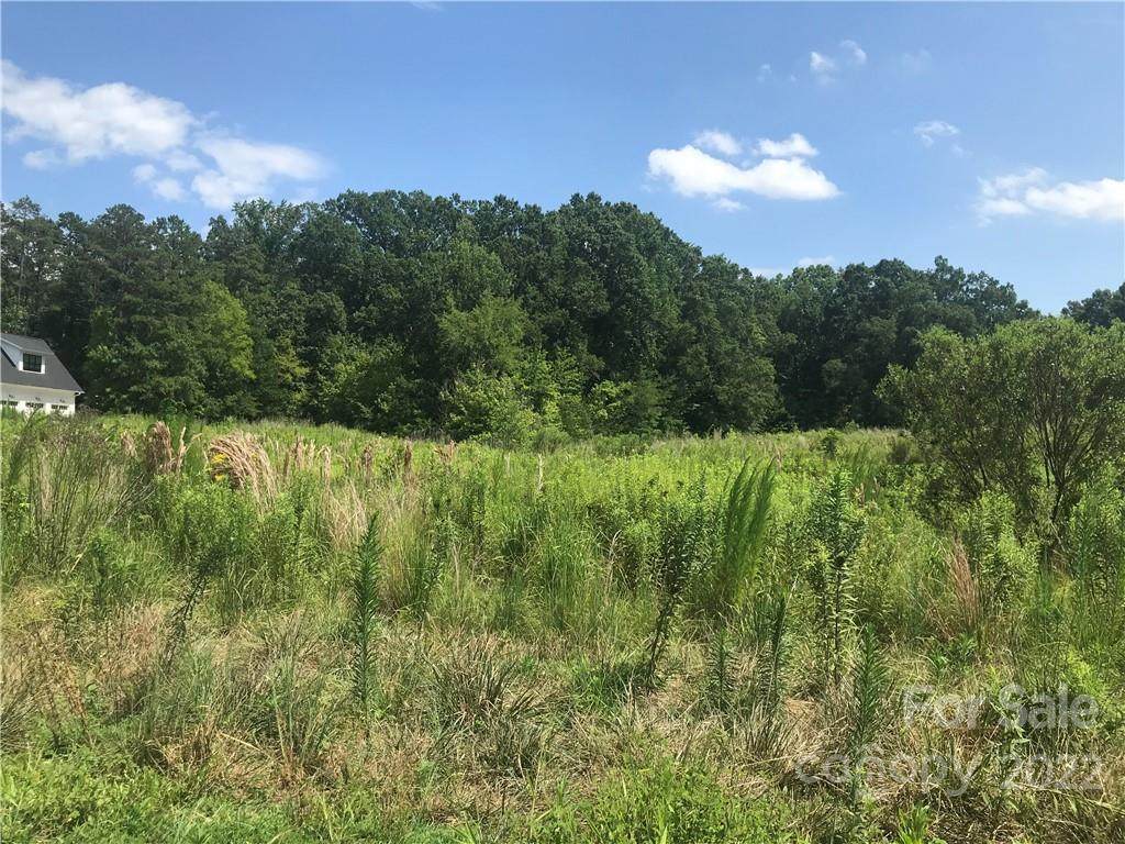 2110 Goose Creek Farm Lane - Photo 1