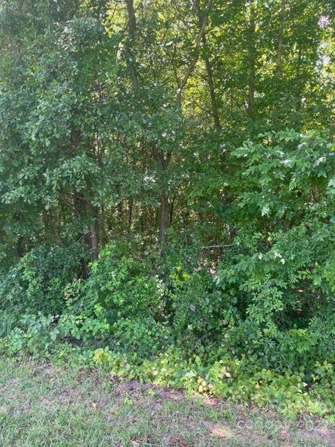 00 Scout Cabin Road - Photo 1