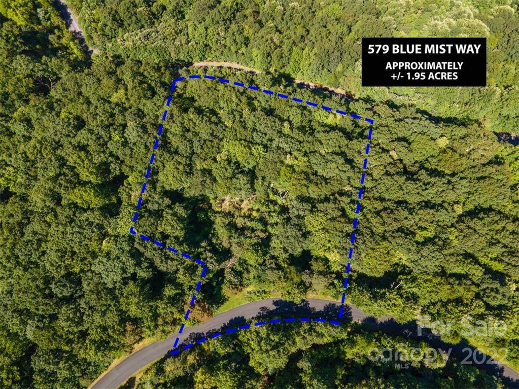 579 Blue Mist Way - Photo 1