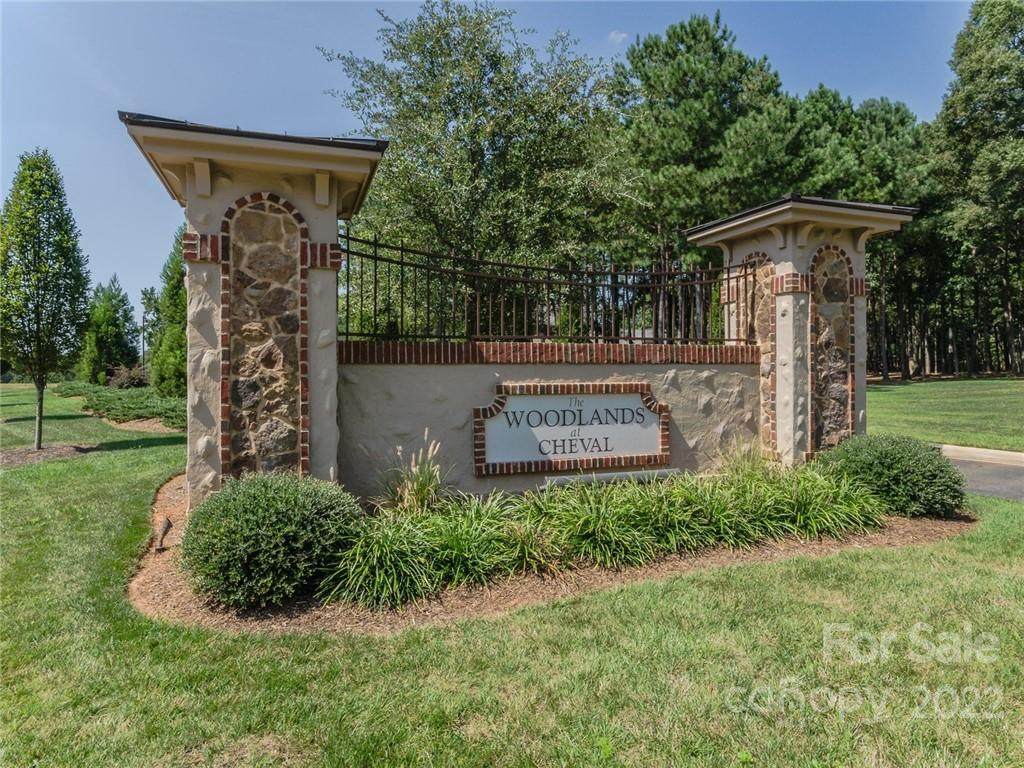 6208 Hollow Oak Drive - Photo 1