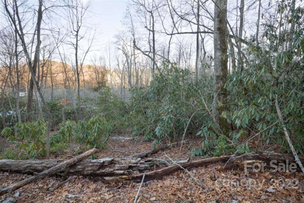 .44 Acre Sparkling Lake Drive - Photo 1