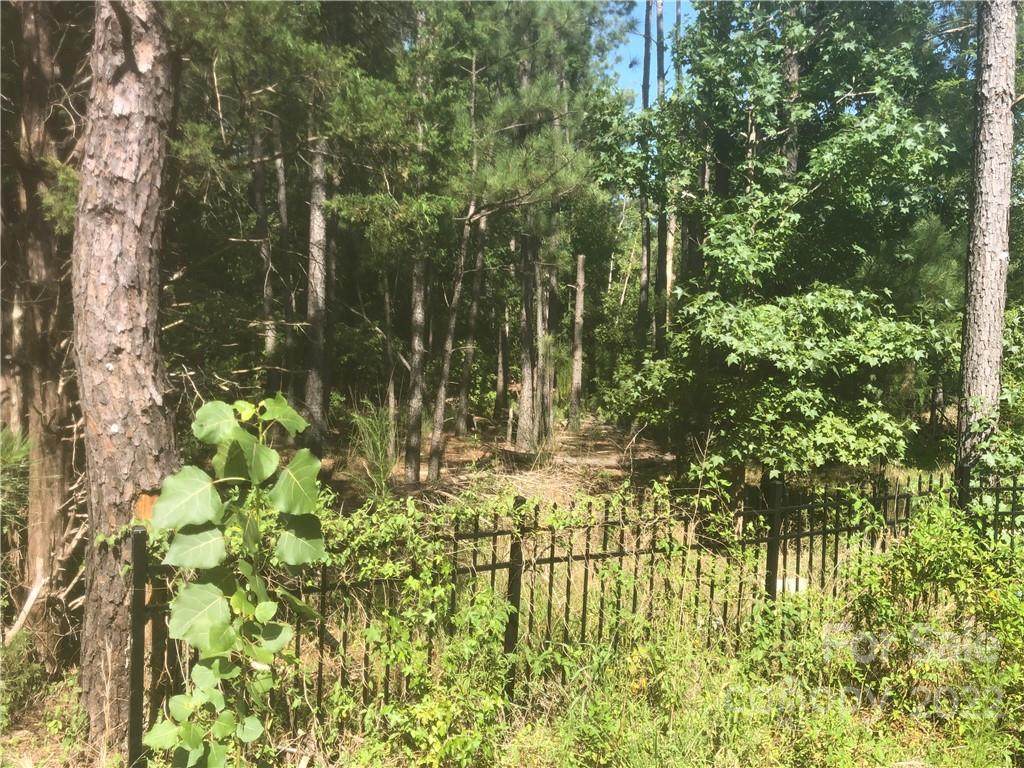 9505 Lancaster Highway - Photo 1