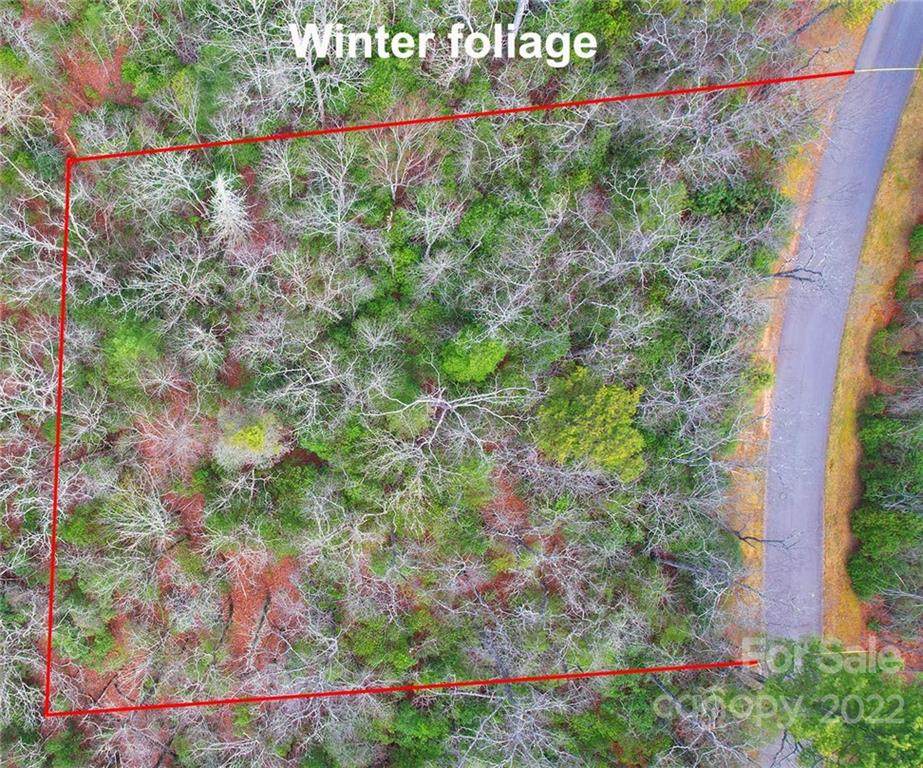 M91 Pine Mountain Trail - Photo 1