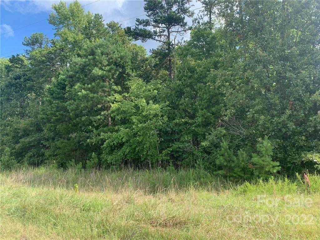 TRACT#2 (11.849AC) Mission Road - Photo 1