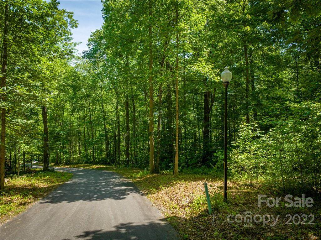 Lot 61 Twinbrook Lane - Photo 1