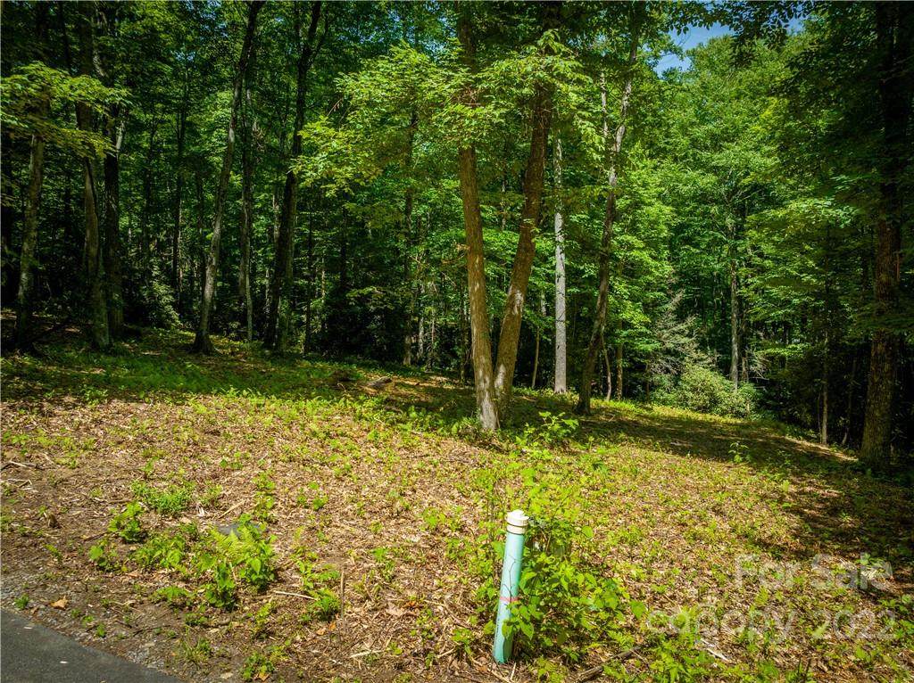 Lot 55 Twinbrook Lane - Photo 1