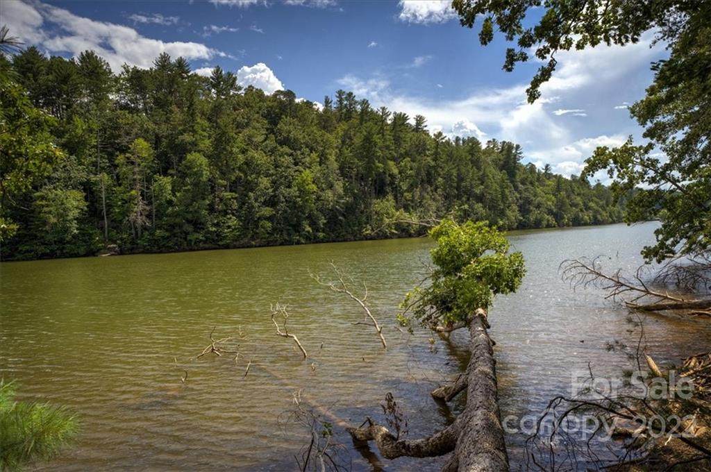 Lot 32 Black Forest Road - Photo 1