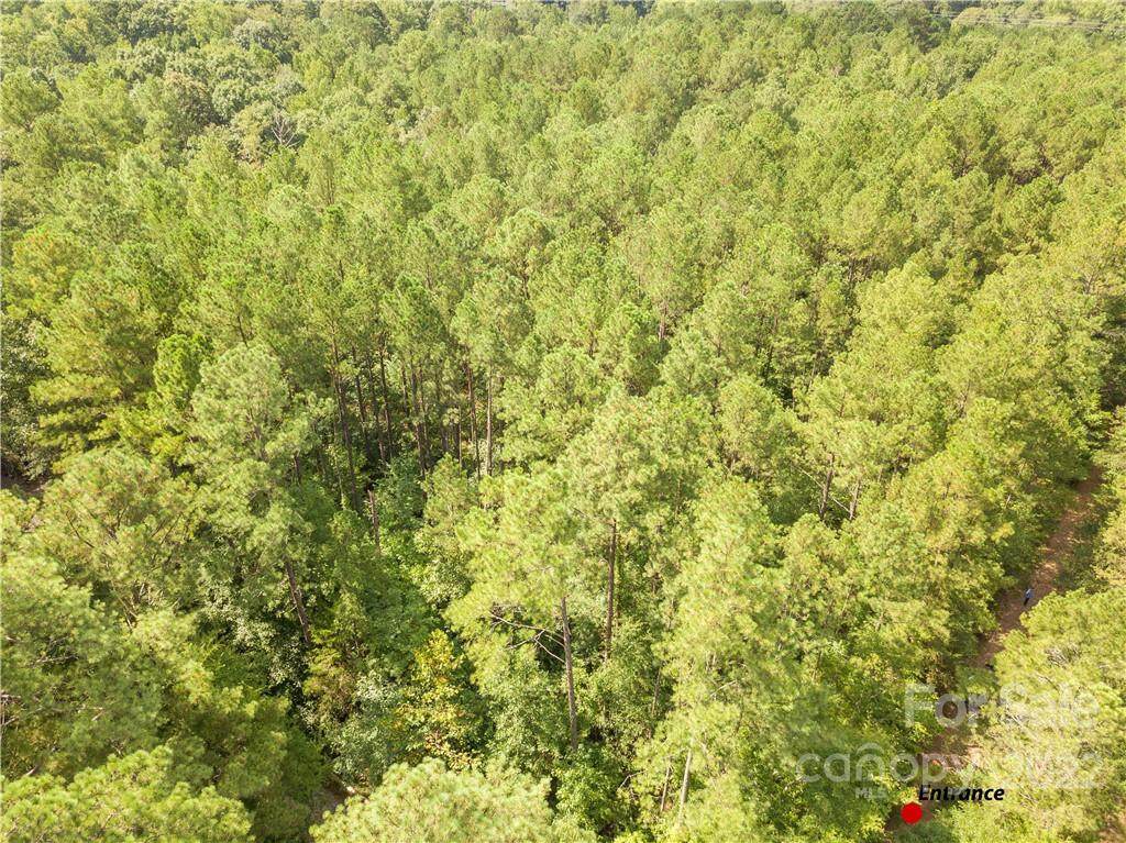 0000 Sugar Creek - Photo 1