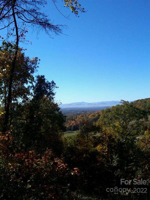 Lot 92 Rising Sun Road - Photo 1