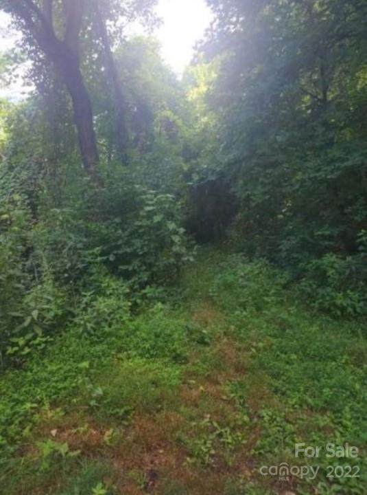 294 Mountain Vista Road - Photo 1