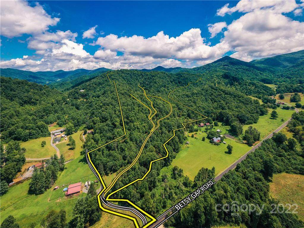 99999 Betsys Gap Road - Photo 1