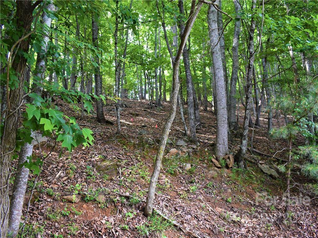 0000 Cedar Drive - Photo 1