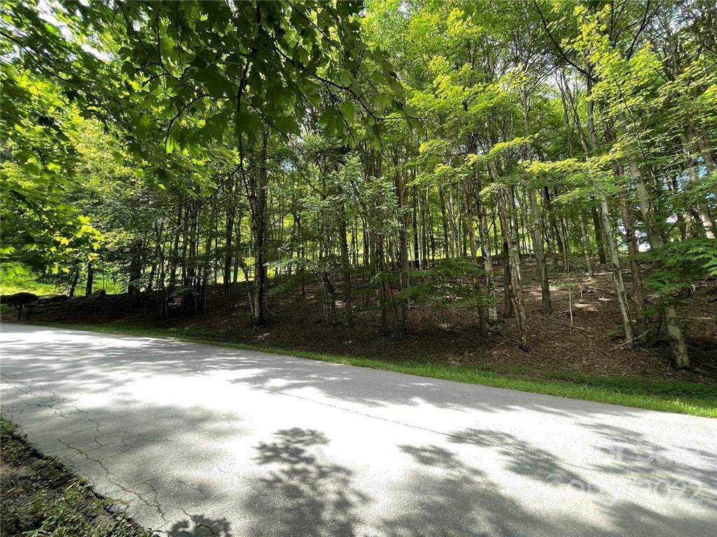 000 Devils Lake Drive - Photo 1