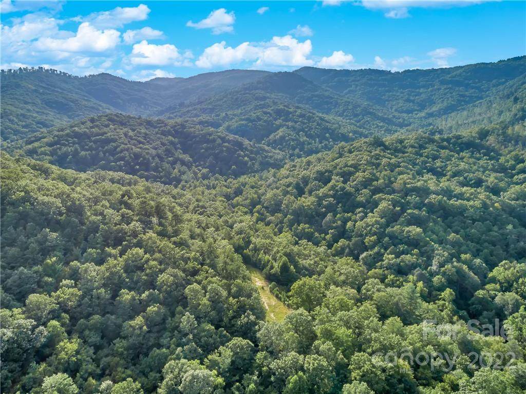 99999 Old Yellow Mountain Road - Photo 1