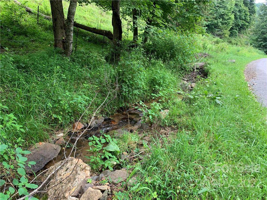000 Bee Log Road - Photo 1