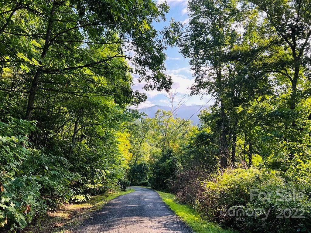 99999 Dogwood Forest Road - Photo 1