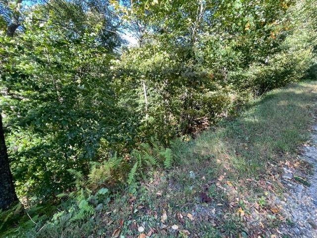 119 Chestnut Lane - Photo 1