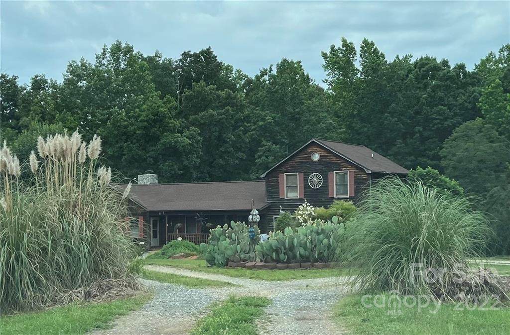 1223 Eulalia Lane - Photo 1
