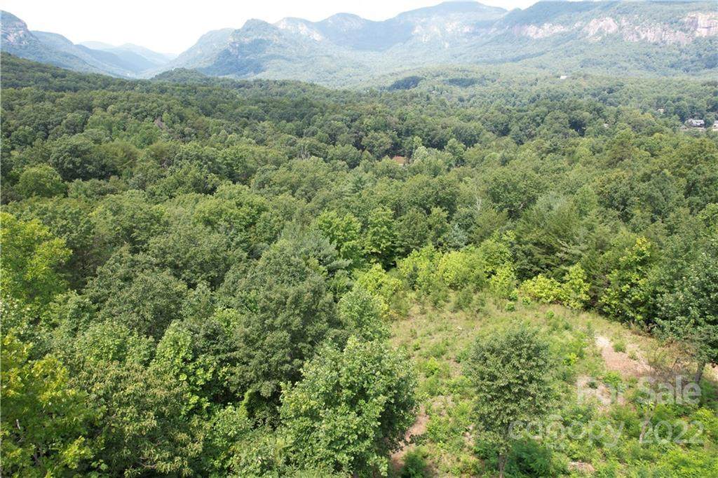 Lot 3 Burroughs Road - Photo 1