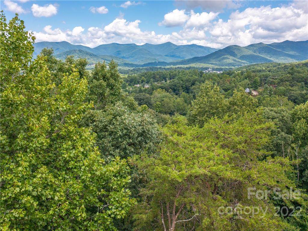 98 Cottage Settings Lane - Photo 1