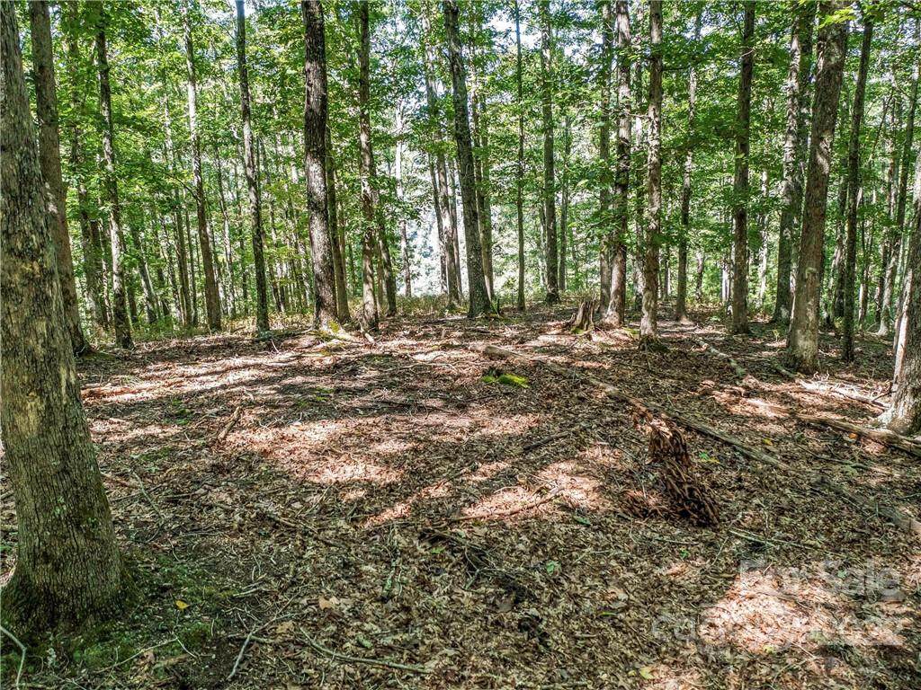 151 Wild Turkey Loop - Photo 1