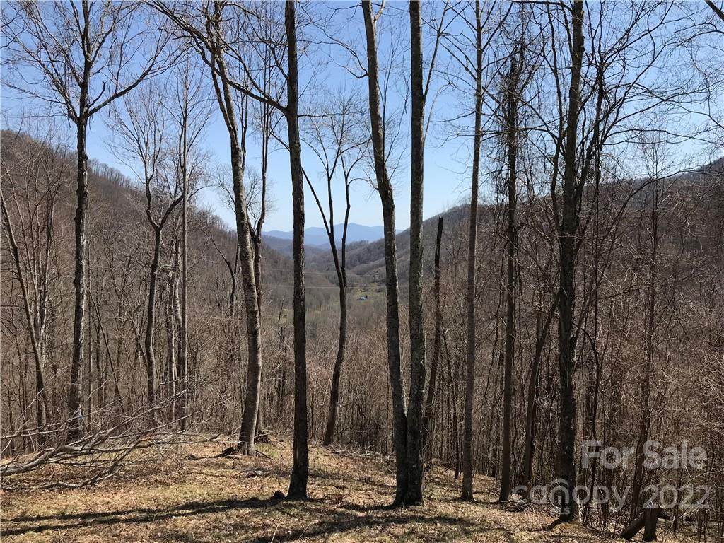 Lot 9 Settlement Way - Photo 1