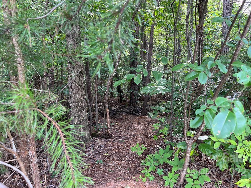 174 Twin Creeks Drive - Photo 1