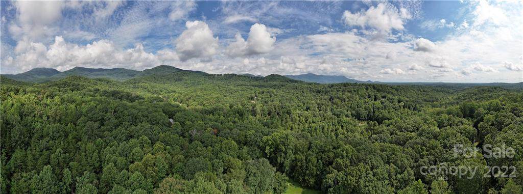 43.49 Acres Durham Drive - Photo 1