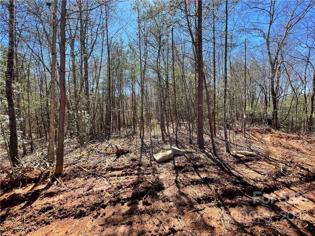 00 Sunshine Acres Drive - Photo 1