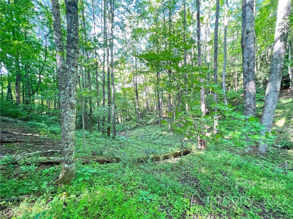 999 Baltimore Branch Road - Photo 1