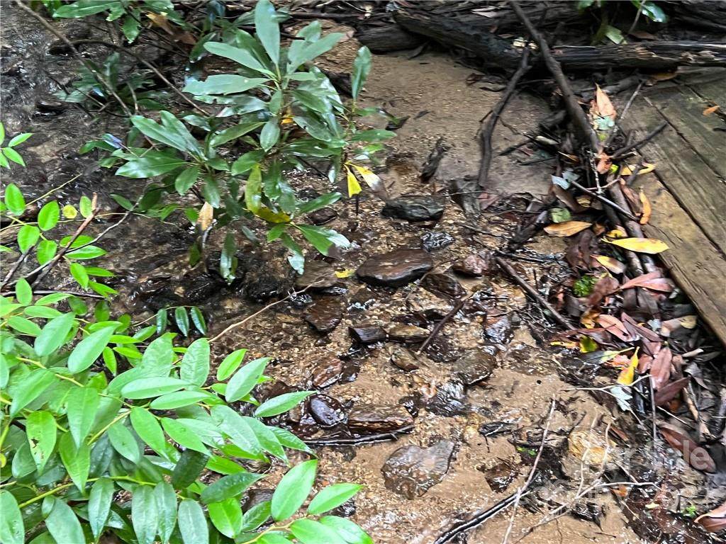 2 Kelly Mountain Road - Photo 1