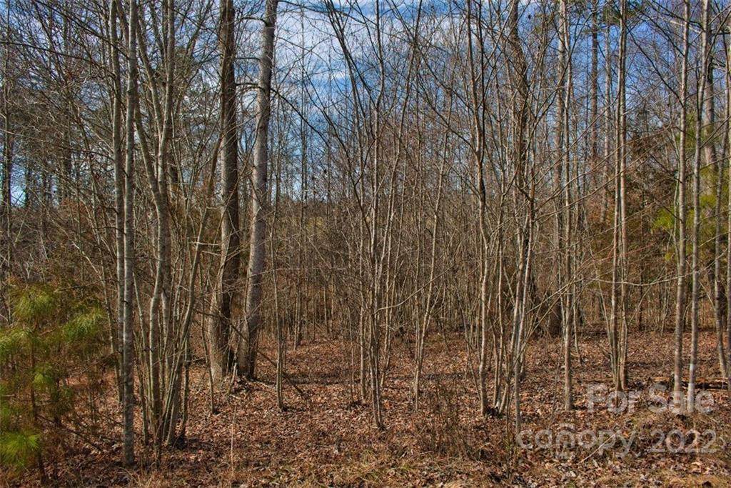 0 Woodstock Lane - Photo 1