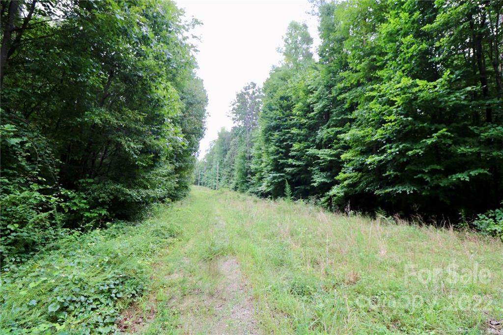 00 L R Schronce Lane - Photo 1