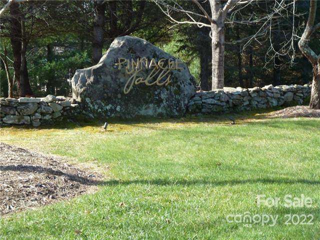 1132 Pinnacle Falls Lane - Photo 1
