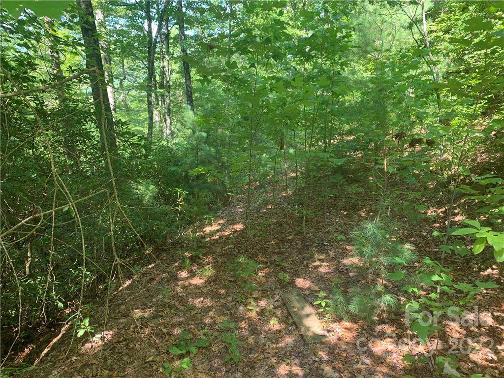 TBD Honey Mountain Lane - Photo 1