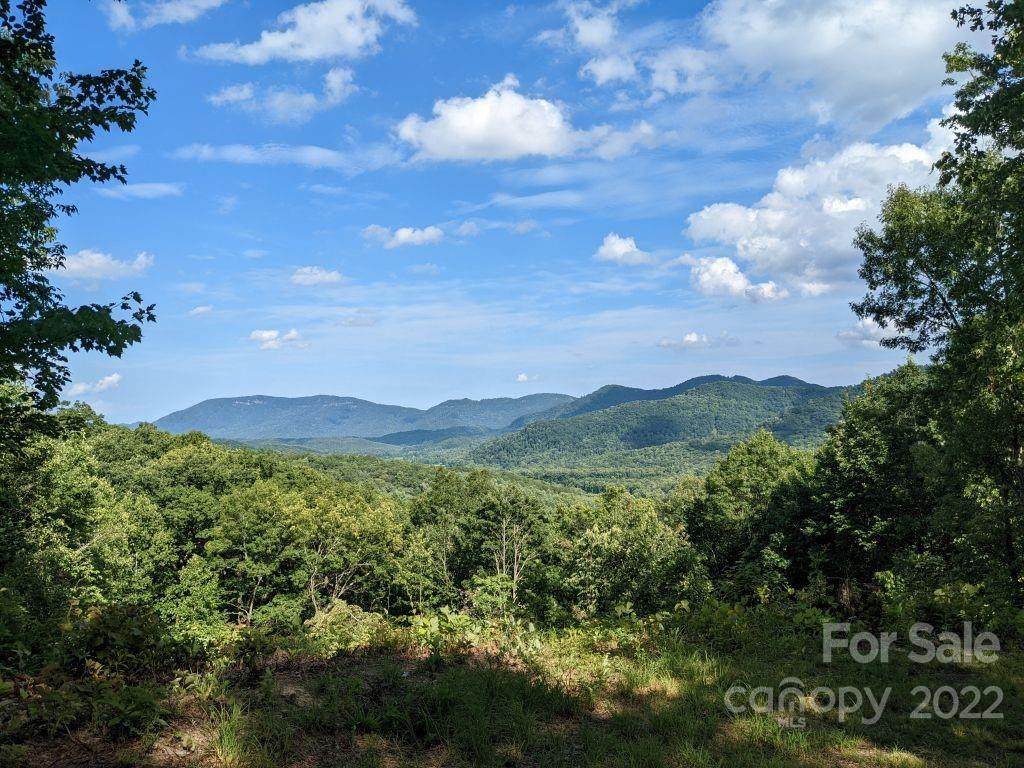 Lot C-29 133 Nuthatch Lane - Photo 1