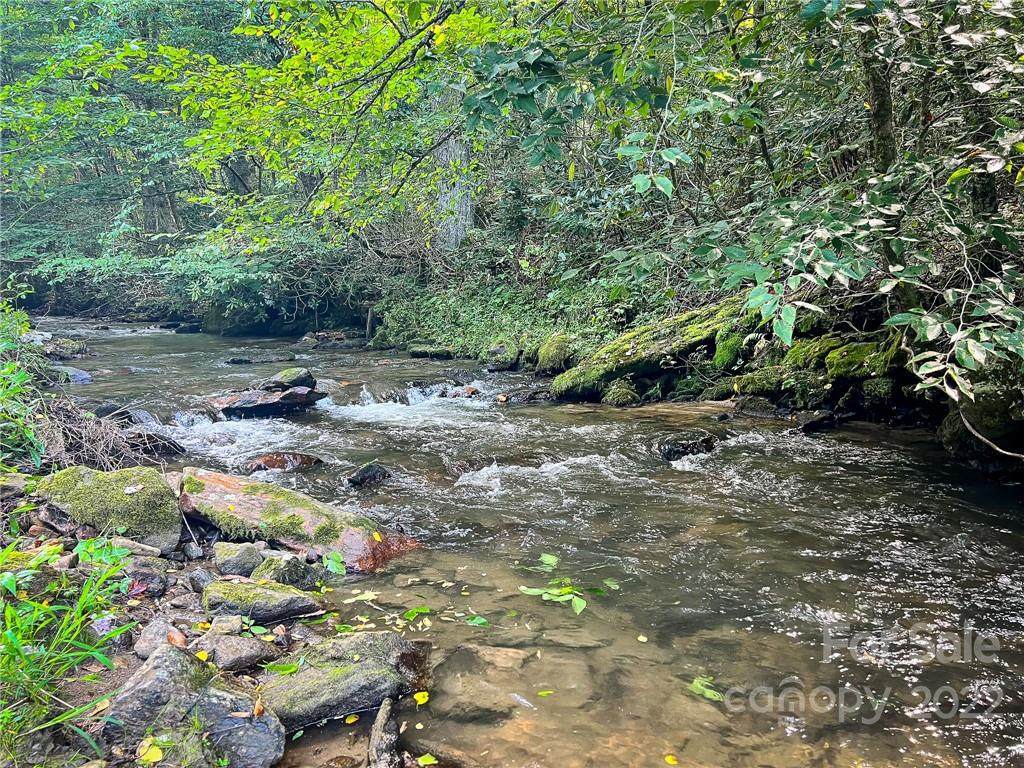 9999 Puncheon Fork Road - Photo 1