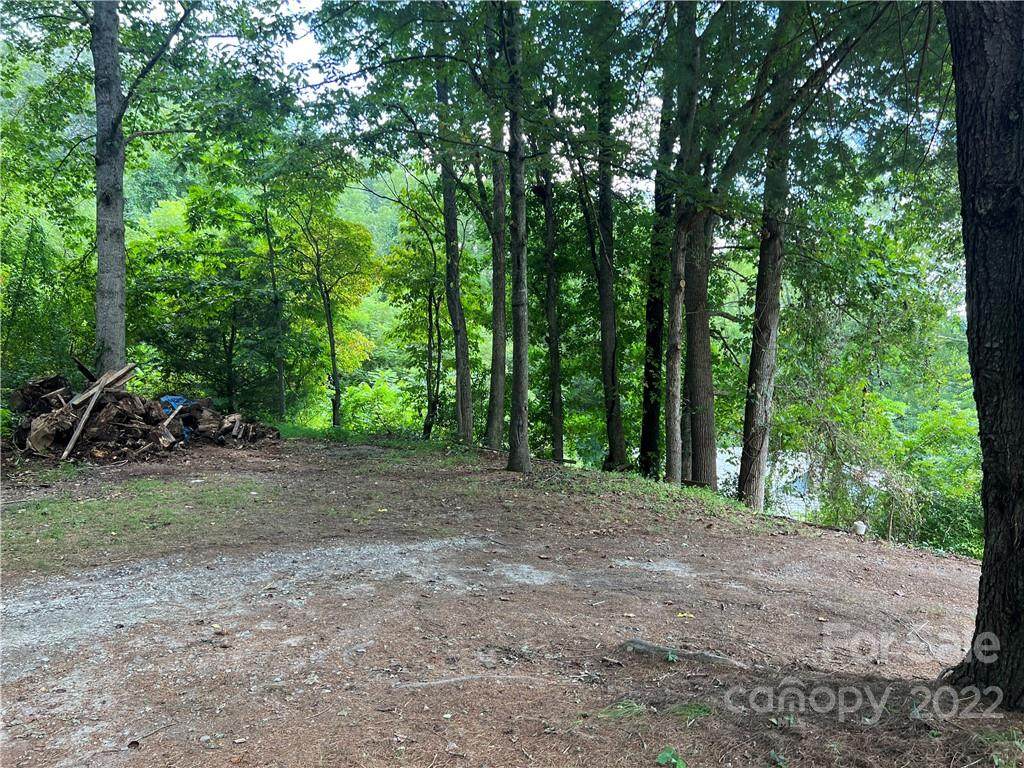 999 Lower Grassy Branch Road - Photo 1